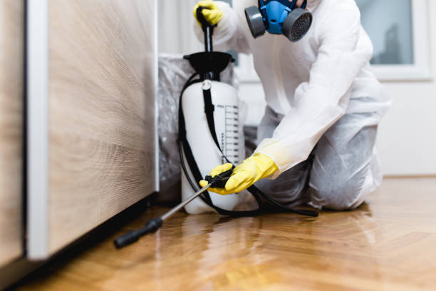 Best Affordable Pest Control Services  in Connersville, IN
