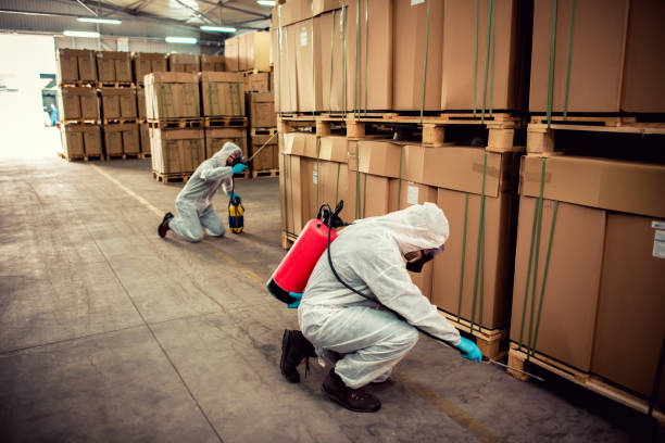 Best Cockroach Control Services  in Connersville, IN