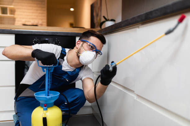 Flea Control Services in Connersville, IN