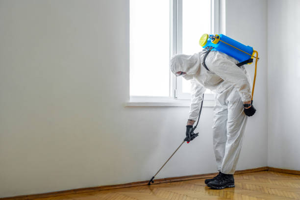 Best Residential Pest Control  in Connersville, IN