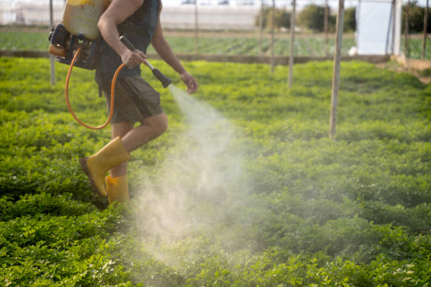 Best Pest Prevention Services  in Connersville, IN