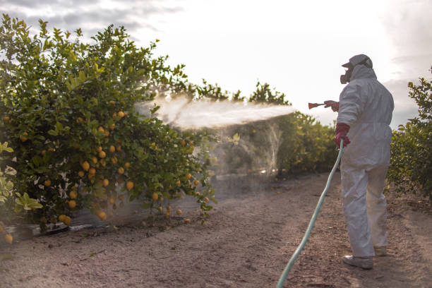 Best Exterminator Services  in Connersville, IN