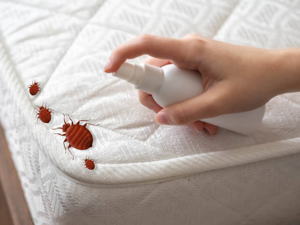 Best Pest Removal Services  in Connersville, IN