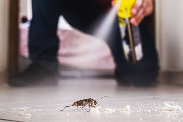 Best Pest Control for Restaurants  in Connersville, IN