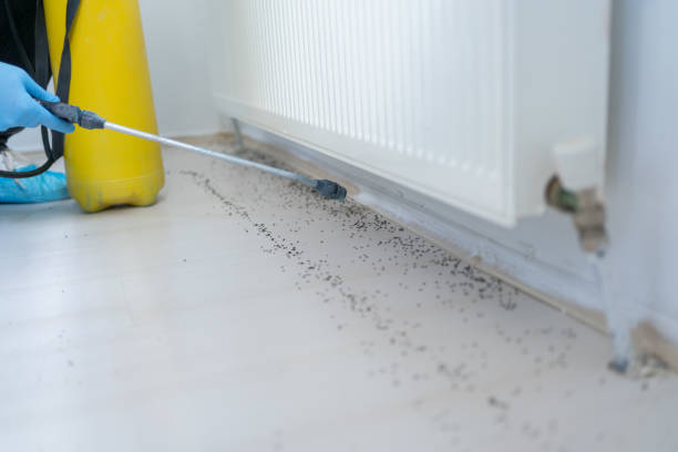 Best Bed Bug Extermination  in Connersville, IN