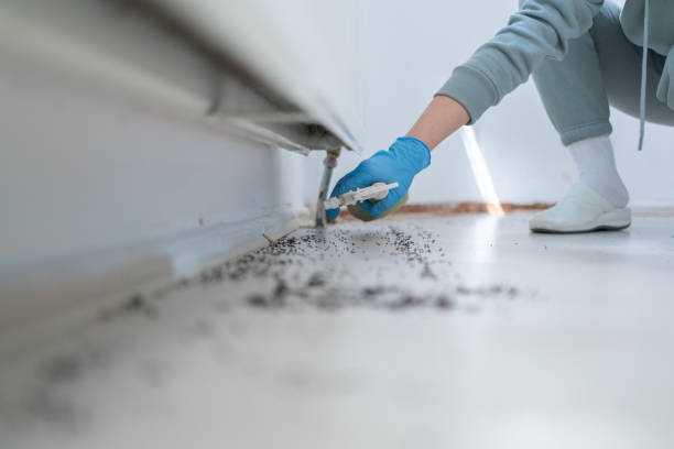 Best Best Pest Control Companies  in Connersville, IN